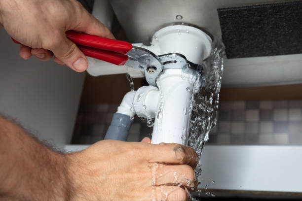 Best Water damage contractors near me  in West Lealman, FL