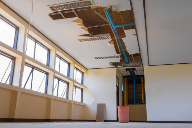 Best Carpet water damage restoration  in West Lealman, FL