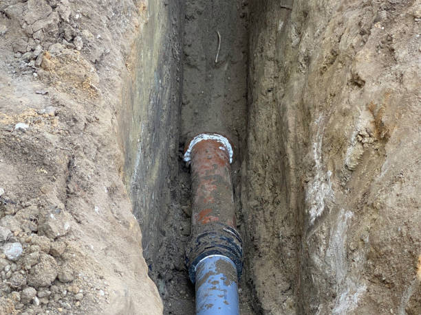 Best Basement water damage restoration  in West Lealman, FL