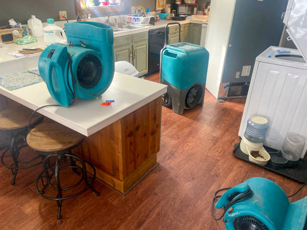 Best Sewage cleanup and water damage restoration  in West Lealman, FL