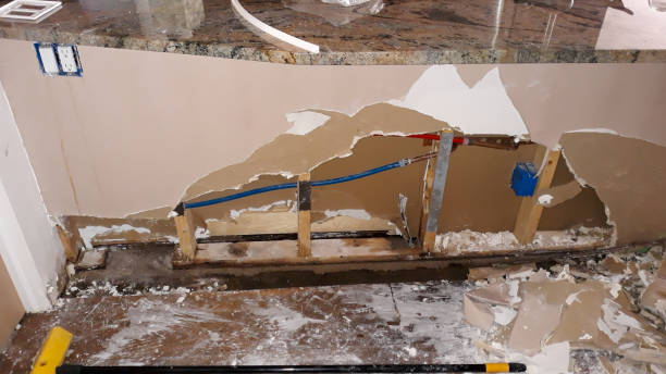 Best Flood damage cleanup  in West Lealman, FL