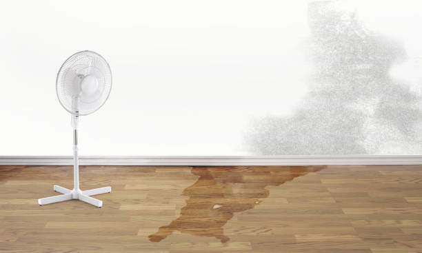 Best Fire Damage Restoration  in West Lealman, FL