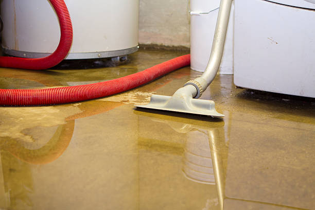 Best Professional water damage repair  in West Lealman, FL
