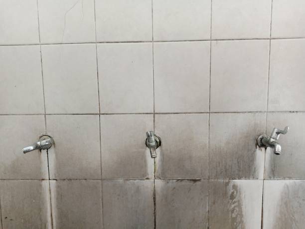 Best Water damage restoration near me  in West Lealman, FL
