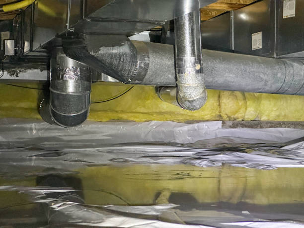 Best Basement water damage restoration  in West Lealman, FL
