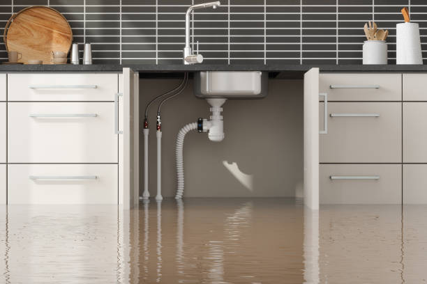 Best Water damage contractors near me  in West Lealman, FL